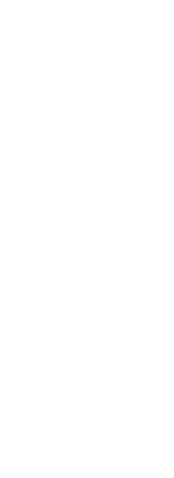 素材と技術による逸品揃い